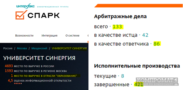 Синергия